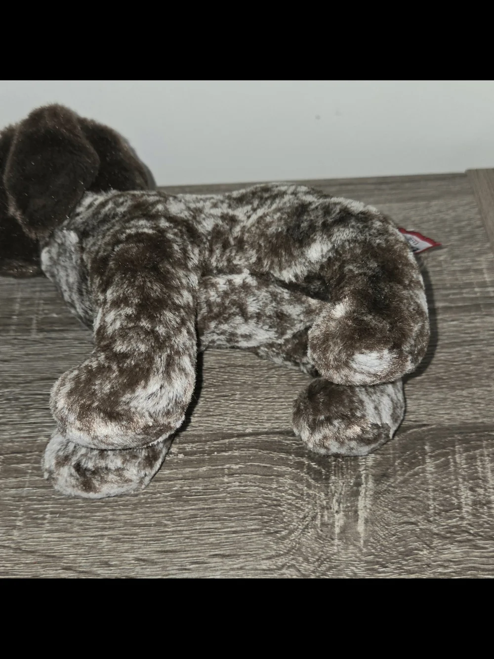 Douglas lvan German Short Haired Pointer Plush Realistic Dog Puppy 8